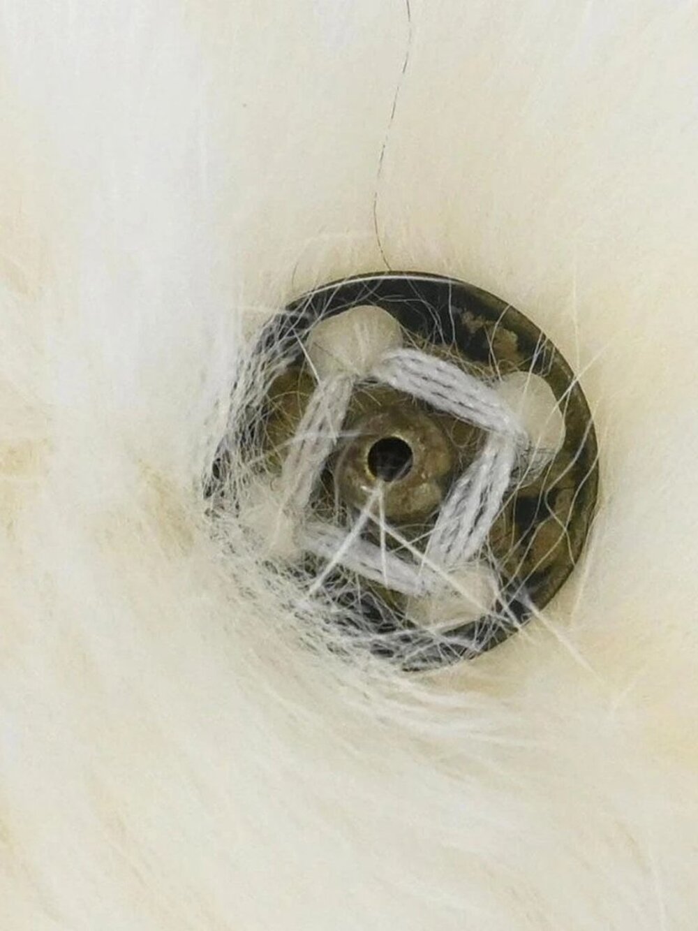 Chanel White Lapin Fur Bracelet Bangle Wristband 126372 - Picture 3 of 4